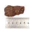 Zaļganas krāsas Baltijas dzintara gabals  ~ 11.9 g
