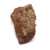 Zaļganas krāsas Baltijas dzintara gabals  ~ 11.9 g