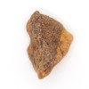 Neapstrādāts zaļganas krāsas Baltijas dzintars (4.1 g)