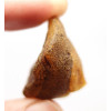Neapstrādāts zaļganas krāsas Baltijas dzintars (4.1 g)
