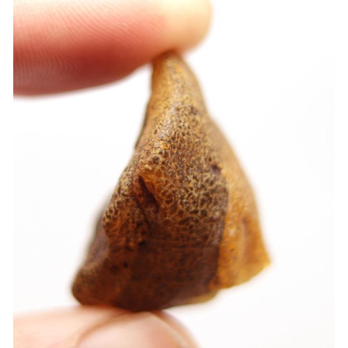 Neapstrādāts zaļganas krāsas Baltijas dzintars (4.1 g)