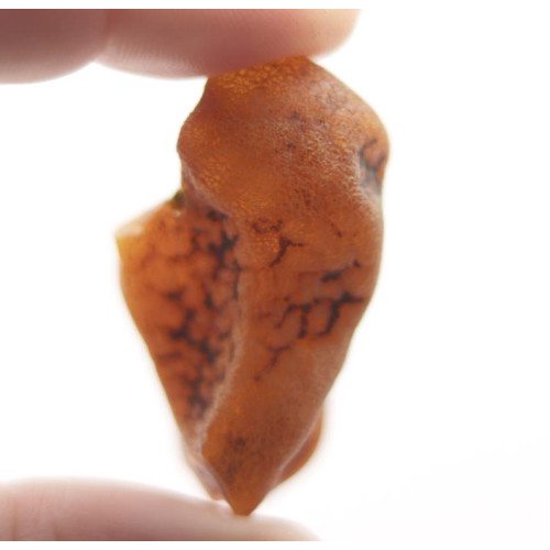 Neapstrādāts medus krāsas Baltijas dzintara gabals (5.9 g)