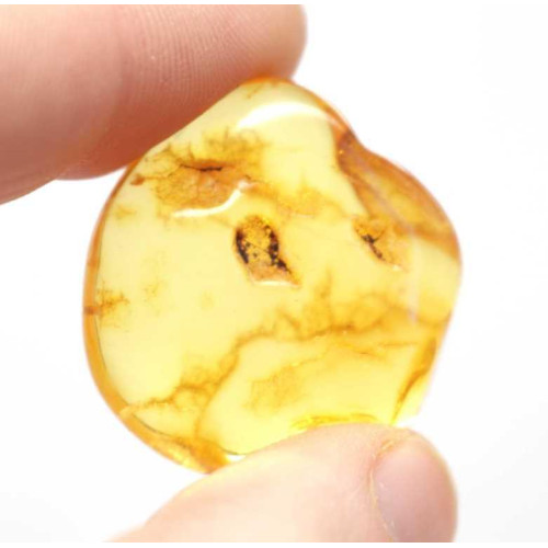 Pulēts gaiša medus krāsas dabīgais Baltijas dzintars (3.9 g)