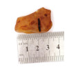 Neapstrādāts medus krāsas Baltijas dzintars (6,8 g)