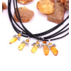 Baltijas dzintara kulons amulets  "SARGEŅĢELIS" 5 gab.